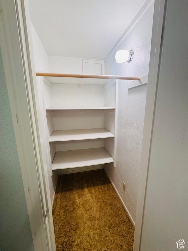 230 E 300 S, Ephraim, UT 84627 - walk in closet with carpet floors