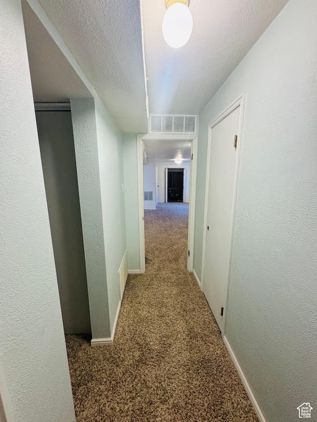 230 E 300 S, Ephraim, UT 84627 - hallway with carpet, a textured wall, and a textured ceiling