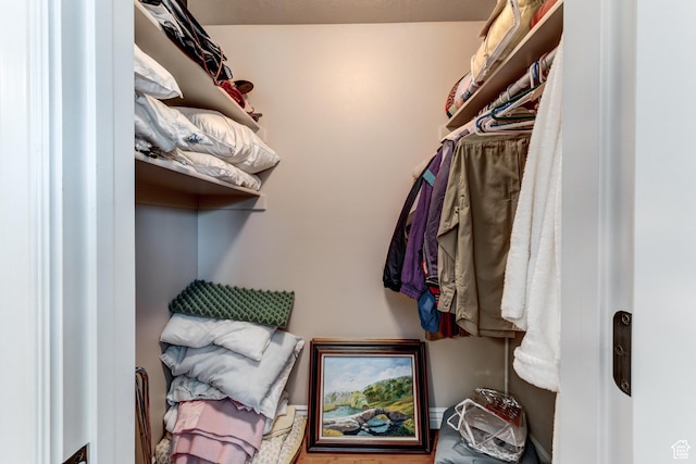 30455 N 11000 E, Fairview, UT 84629 - view of spacious closet