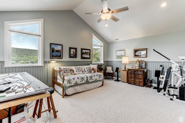 30455 N 11000 E, Fairview, UT 84629 - bedroom with wainscoting, carpet flooring, ceiling fan, high vaulted ceiling, and recessed lighting
