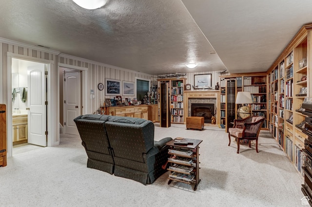 30455 N 11000 E, Fairview, UT 84629 - living room featuring light colored carpet, a fireplace with raised hearth, ornamental molding, and a textured ceiling