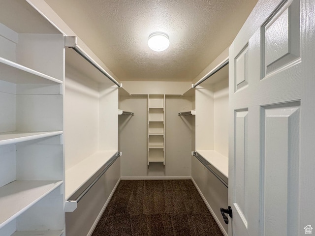 619 W 225 S, Layton, UT 84041 - walk in closet with carpet