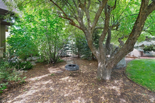 3327 E Wasatch Pines Ln, Sandy, UT 84092 - view of yard
