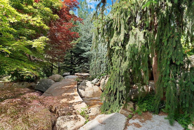 3327 E Wasatch Pines Ln, Sandy, UT 84092 - view of undeveloped land
