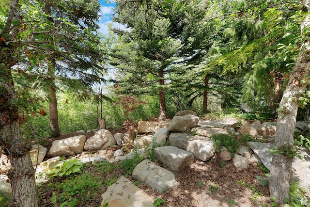 3327 E Wasatch Pines Ln, Sandy, UT 84092 - view of yard