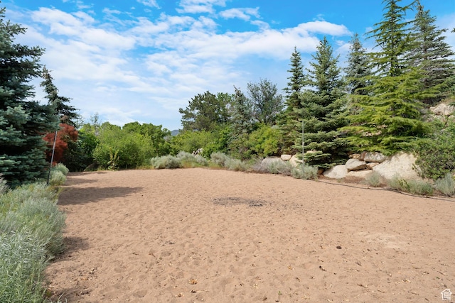 3327 E Wasatch Pines Ln, Sandy, UT 84092 - view of yard