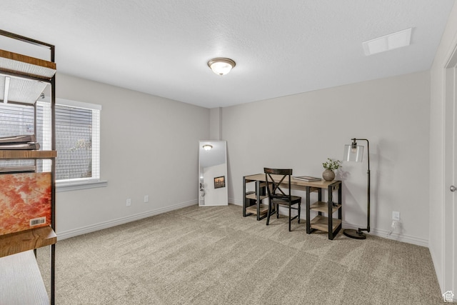 819 N Old Fort Dr, Spanish Fork, UT 84660 - photo 29