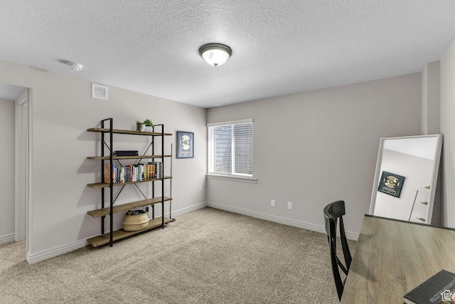 819 N Old Fort Dr, Spanish Fork, UT 84660 - photo 30