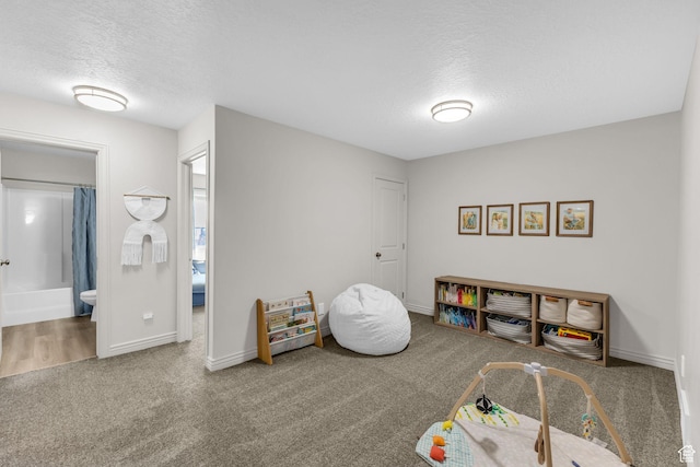 819 N Old Fort Dr, Spanish Fork, UT 84660 - photo 19