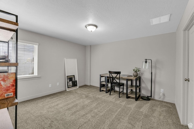 819 N Old Fort Dr, Spanish Fork, UT 84660 - photo 31