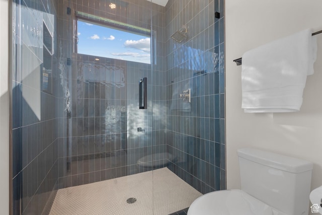 1882 N Main St, Mapleton, UT 84664 - bathroom with toilet and a tile shower
