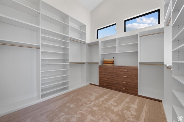 1882 N Main St, Mapleton, UT 84664 - spacious closet with light colored carpet and a high ceiling