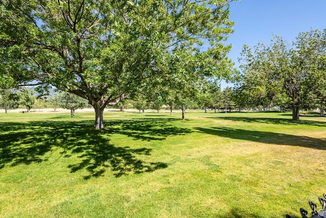 192 N 690 E, Tooele, UT 84074 - view of green lawn