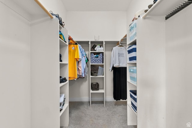 352 E Maple Dr, Alpine, UT 84004 - spacious closet with carpet floors