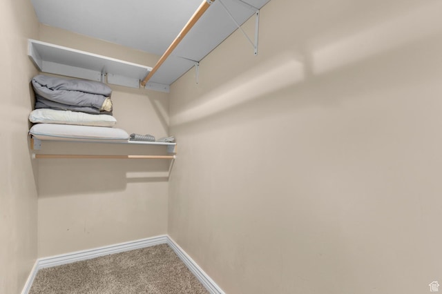 352 E Maple Dr, Alpine, UT 84004 - walk in closet with carpet floors