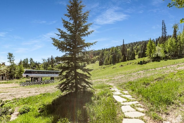 8789 Marsac Ave Unit 4, Park City, UT 84060 - view of yard featuring a wooded view