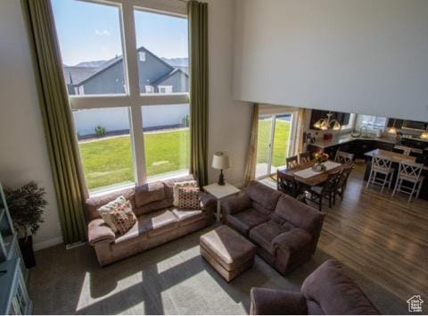 4910 N Deseret Peak Dr, Eagle Mountain, UT 84005 - living area with a towering ceiling