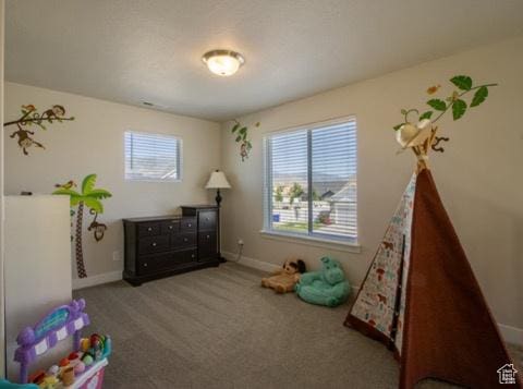 4910 N Deseret Peak Dr, Eagle Mountain, UT 84005 - rec room featuring plenty of natural light and carpet