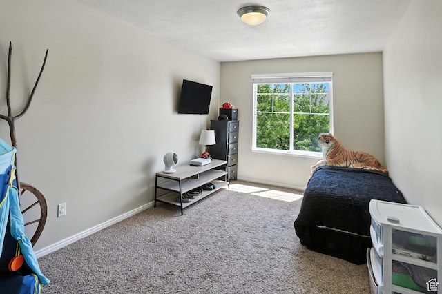 1061 N Bellingham Ct W, North Salt Lake, UT 84054 - bedroom featuring carpet floors and baseboards