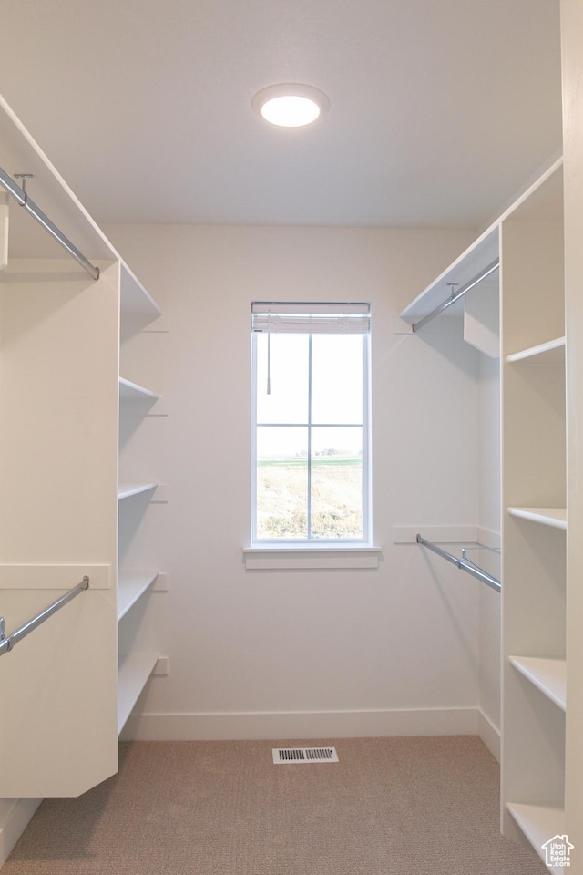 225 W 690 N, Smithfield, UT 84335 - spacious closet featuring carpet floors