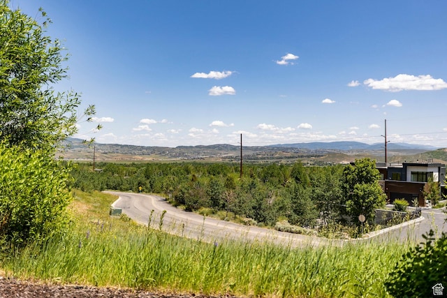 2100 W Frostwood Blvd Unit 3164, Park City, UT 84098 - view of mountain background