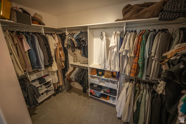 744 N 540 E, Smithfield, UT 84335 - spacious closet featuring carpet floors