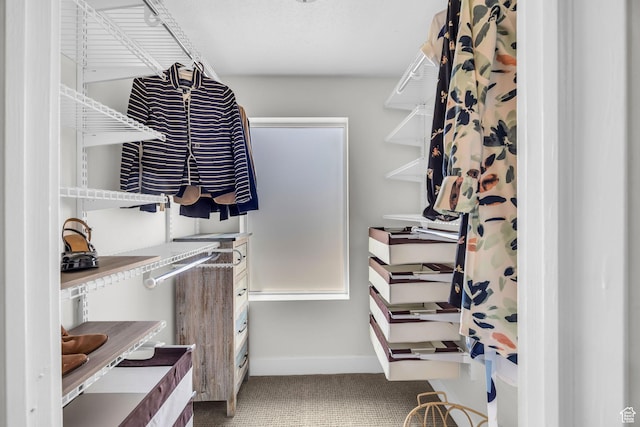 169 W Barry Links Way S, Salt Lake, UT 84115 - spacious closet featuring carpet