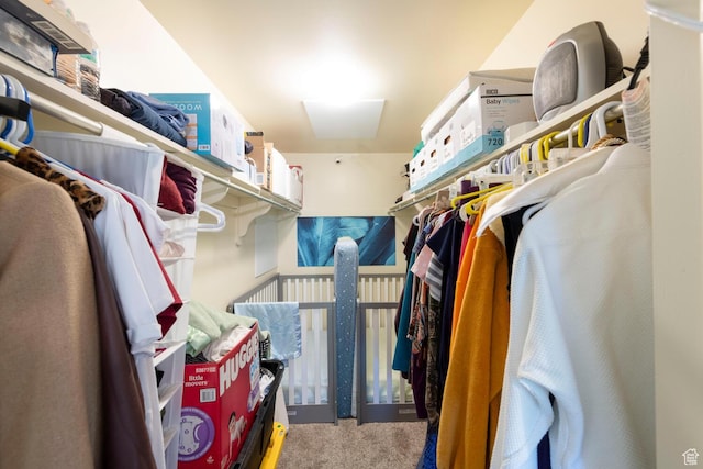 1949 E Jeremy Dr S, Salt Lake City, UT 84121 - spacious closet featuring carpet