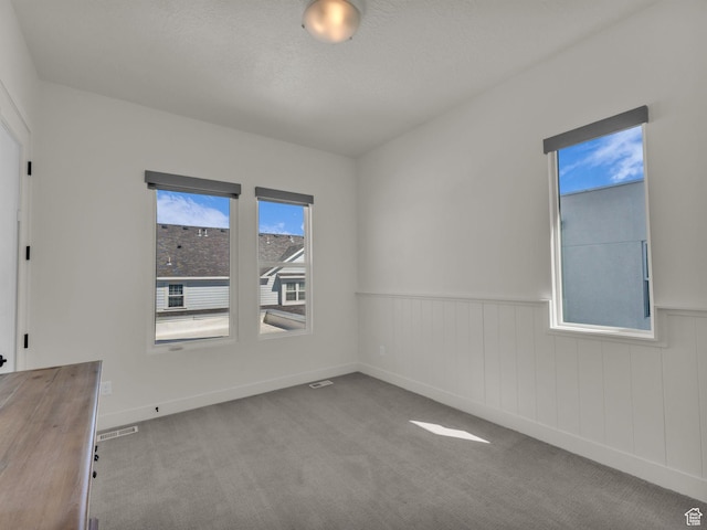 11609 S Dorian Dr W, South Jordan, UT 84009 - spare room with a wainscoted wall and carpet flooring