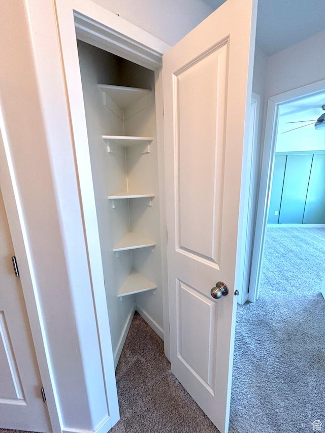 5382 W Tioga Pl, Herriman, UT 84096 - view of closet