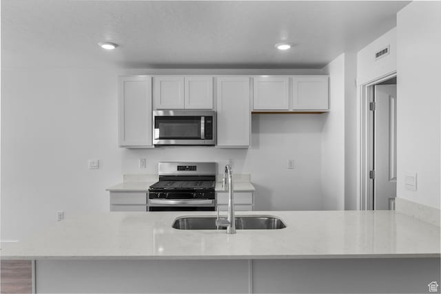 1557 E 720 N Unit 1070, Salem, UT 84653 - kitchen featuring stainless steel appliances, light stone countertops, white cabinetry, and recessed lighting