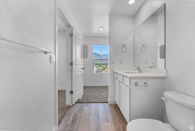 1557 E 720 N Unit 1070, Salem, UT 84653 - bathroom with vanity, wood finished floors, and recessed lighting