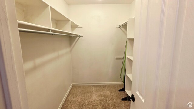 65 E 300 S, Salina, UT 84654 - walk in closet featuring carpet floors