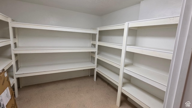 65 E 300 S, Salina, UT 84654 - view of pantry