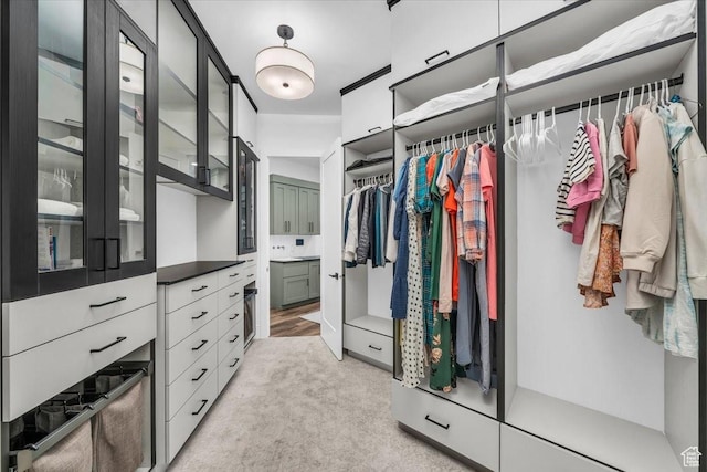 772 E Prairie Way, Washington, UT 84780 - walk in closet featuring light colored carpet