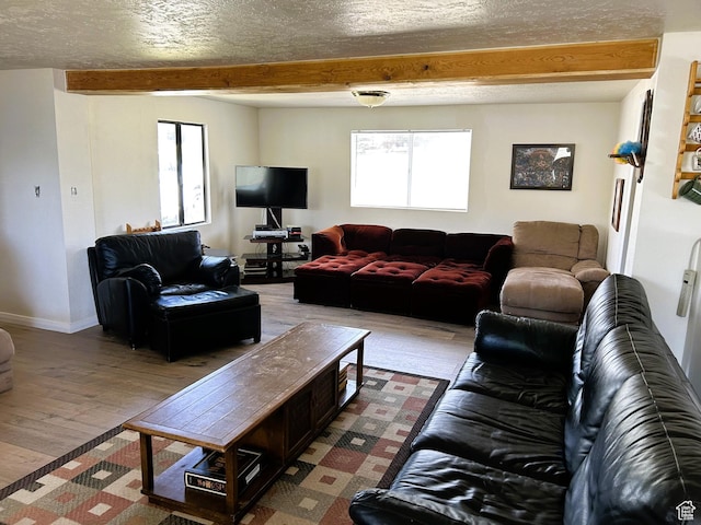 5223 N 930 E, Scofield, UT 84526 - living room featuring beam ceiling, wood finished floors, and a textured ceiling