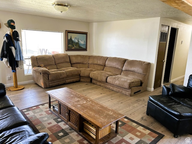 5223 N 930 E, Scofield, UT 84526 - living area with wood-type flooring and a textured ceiling
