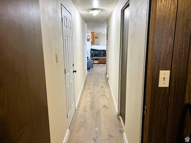 5223 N 930 E, Scofield, UT 84526 - corridor with light wood finished floors and a textured wall