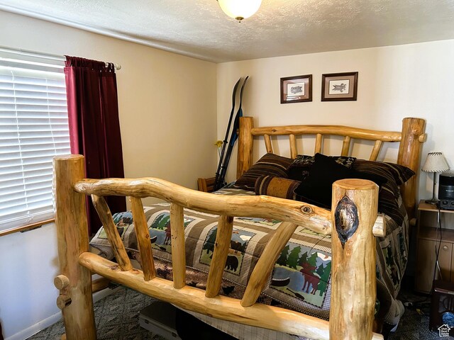 5223 N 930 E, Scofield, UT 84526 - bedroom with carpet floors and a textured ceiling