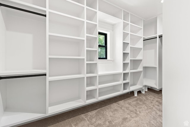 3359 W 3500 S, Wellsville, UT 84339 - spacious closet featuring carpet
