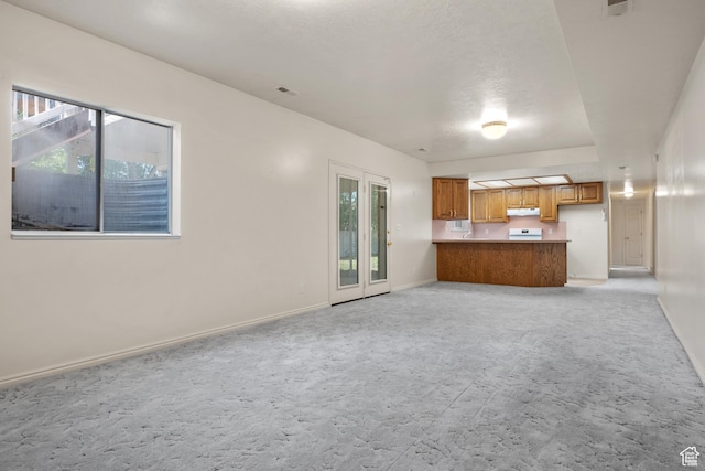 560 S 1350 E, Fruit Heights, UT 84037 - unfurnished living room with light carpet and healthy amount of natural light