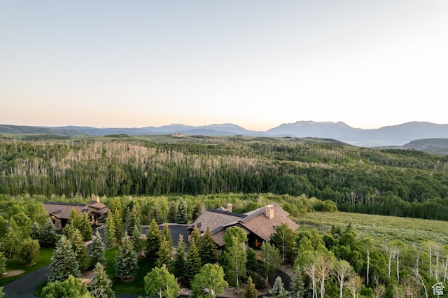 9156 E Forest Rd Unit 24, Heber City, UT 84032 - view of mountain backdrop with a forest