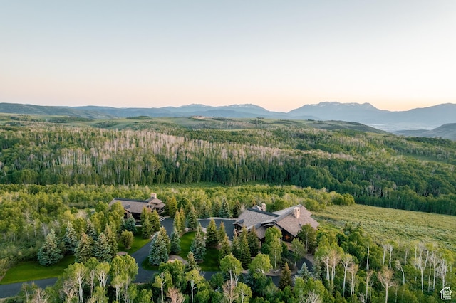 9156 E Forest Rd Unit 24, Heber City, UT 84032 - aerial view of property and surrounding area with a heavily wooded area and a mountainous background