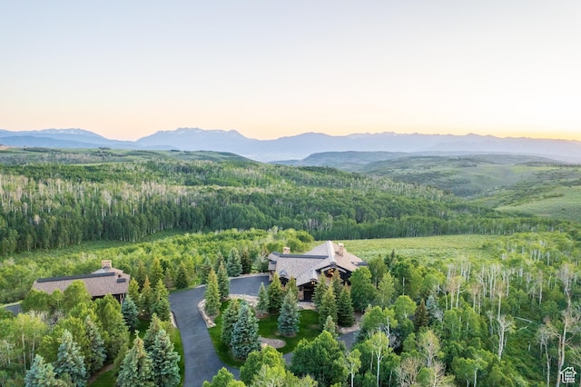9156 E Forest Rd Unit 24, Heber City, UT 84032 - view of mountain background featuring a forest