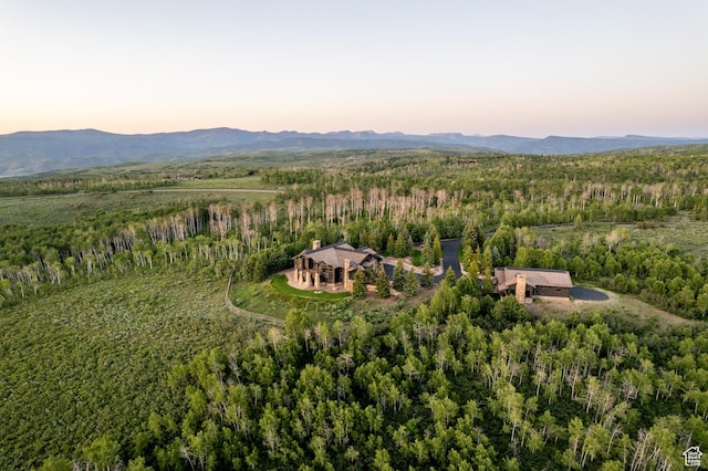 9156 E Forest Rd Unit 24, Heber City, UT 84032 - aerial view at dusk of a wooded view