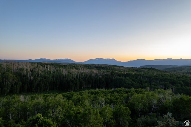 9156 E Forest Rd Unit 24, Heber City, UT 84032 - mountain view featuring a heavily wooded area