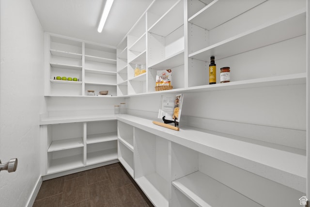 6273 S Oakcrest Cir, Holladay, UT 84121 - view of pantry