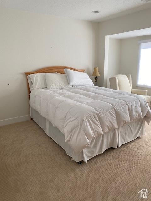 1014 W Bloomington Dr S, St George, UT 84790 - bedroom with light carpet
