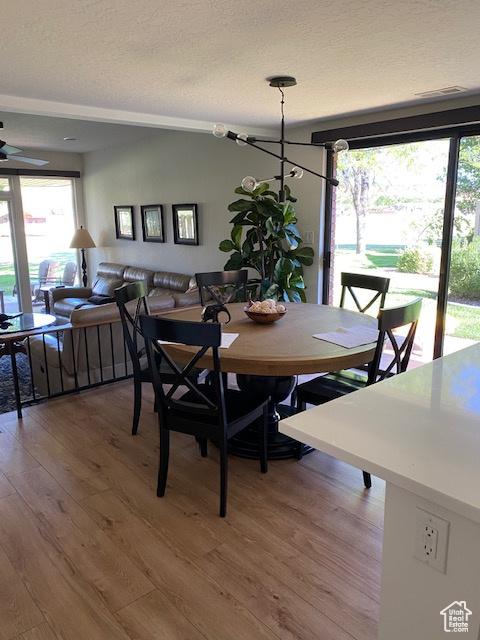1014 W Bloomington Dr S, St George, UT 84790 - dining room featuring plenty of natural light, light wood-style flooring, a textured ceiling, a chandelier, and ceiling fan