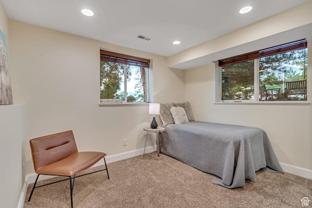 14012 S Osborne Ln E, Draper, UT 84020 - bedroom with carpet and recessed lighting